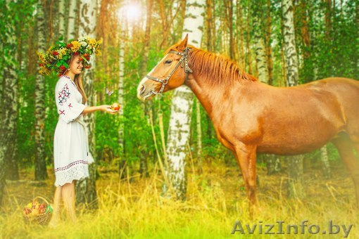 продам лошадь, 9 лет - Изображение #1, Объявление #1361746