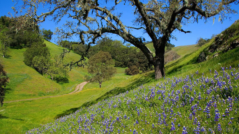 Продается хорошая уютная 2хкомн. квартира - Изображение #1, Объявление #1363767