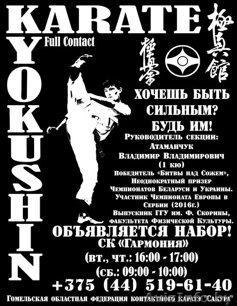 НАБОР В СЕКЦИЮ КАРАТЭ - Изображение #1, Объявление #1504488