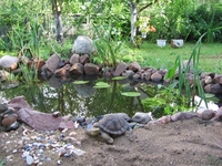 Продается дом в г. Речица 218 кв.м. 1999г. постройки 120 000$ торг - Изображение #3, Объявление #48032