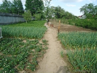 1/2 деревянного дома - Изображение #4, Объявление #900206