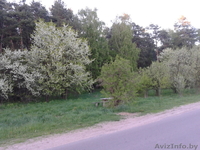 Дом в живописном месте - Изображение #3, Объявление #1063187