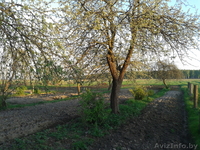 Дом в живописном месте - Изображение #7, Объявление #1063187