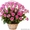 Royal Bouquet доставка цветов 24/7 - Изображение #5, Объявление #1153664