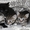 Котята в дар,очень милые маленькие комочки, которые станут вашими любимцами - Изображение #8, Объявление #1589804