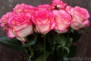Royal Bouquet доставка цветов 24/7 - Изображение #3, Объявление #1153664