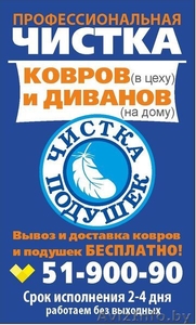 Профессиональная 