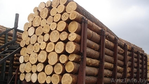 Продается деревообрабатывающее предприятие лесозаготовка - Изображение #1, Объявление #1537311