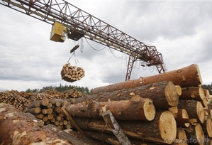 Продается деревообрабатывающее предприятие лесозаготовка - Изображение #2, Объявление #1537311