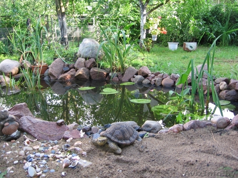 Продается дом в г. Речица 218 кв.м. 1999г. постройки 120 000$ торг - Изображение #3, Объявление #48032