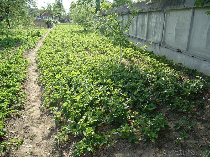 1/2 деревянного дома - Изображение #2, Объявление #900206