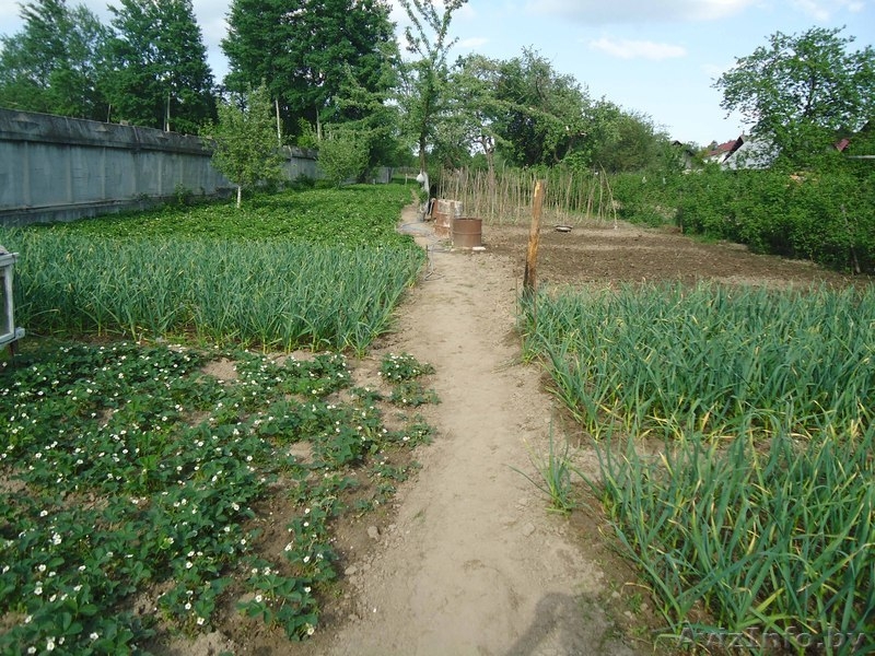 1/2 деревянного дома - Изображение #4, Объявление #900206