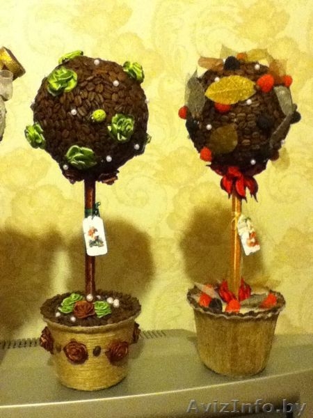 кофейные деревья (топиарии) - Изображение #4, Объявление #1000198