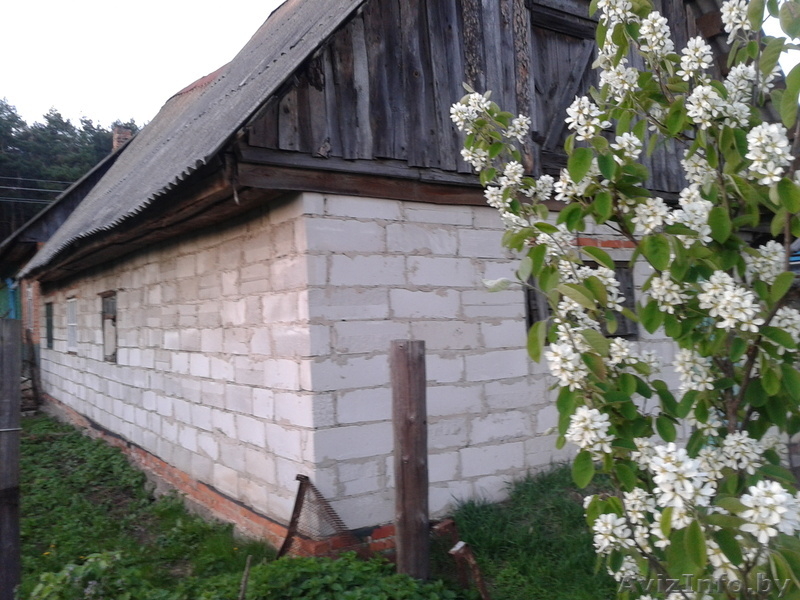 Дом в живописном месте - Изображение #6, Объявление #1063187