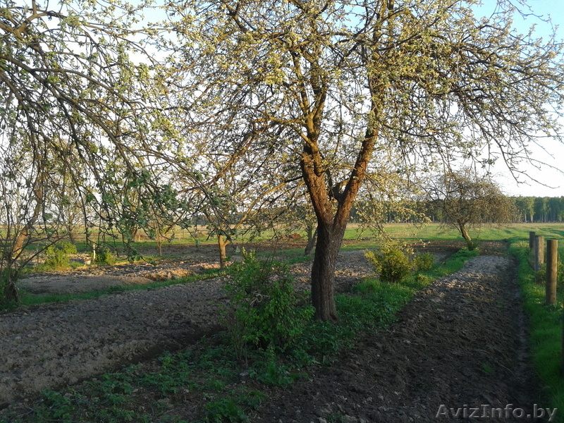 Дом в живописном месте - Изображение #7, Объявление #1063187