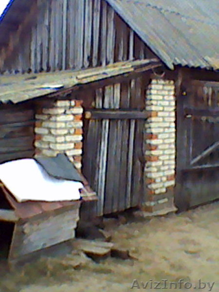 Продается дом для фермерского хозяйства - Изображение #4, Объявление #1625023