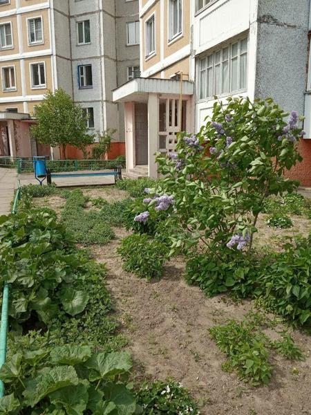 Продаётся уникальная 4-х комнатная квартира в лучшем доме Речицы - Изображение #10, Объявление #1657223